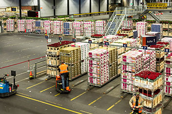 Warehousing Capacity Analysis: Unlocking Future Potential